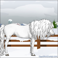 Horse Color:Gray Silver Black Pearl Tobiano