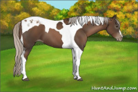 Horse Color:Gray Silver Black Pearl Tobiano