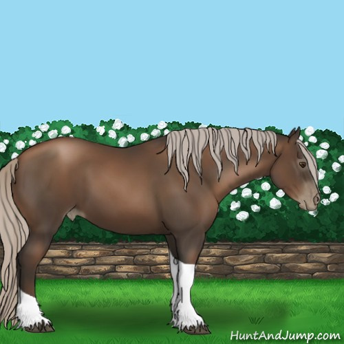 Horse Color:Gray Silver Black Pearl Tobiano 