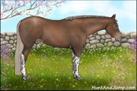 Horse Color:Gray Silver Black Pearl Tobiano