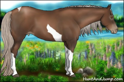 Horse Color:Gray Silver Black Pearl Tobiano 