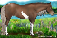Horse Color:Gray Silver Black Pearl Tobiano