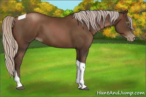 Horse Color:Gray Silver Black Pearl Tobiano 