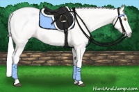 Horse Color:Gray Silver Grullo Pearl Tobiano 