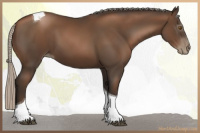 Horse Color:Gray Silver Black Pearl Tobiano 