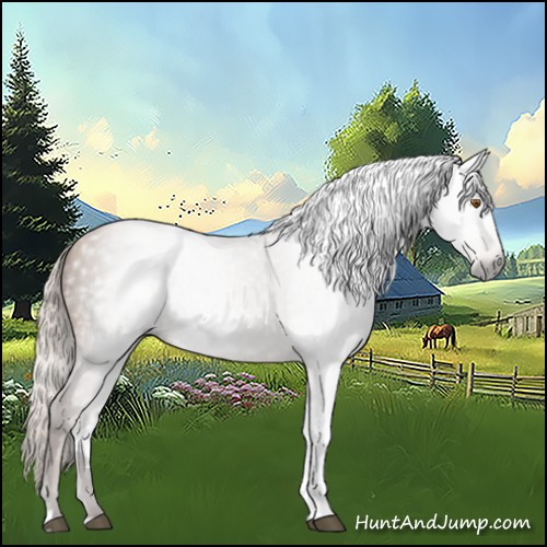Horse Color:Gray Silver Black Pearl Tobiano