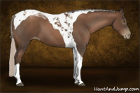 Horse Color:Gray Silver Black Pearl Tobiano