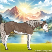 Horse Color:Silver Black Splash 