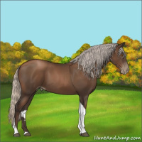 Horse Color:Gray Silver Black Pearl Tobiano