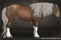 Horse Color:Gray Silver Black Pearl Tobiano