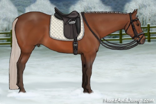 Horse Color:Silver Bay 