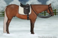 Horse Color:Silver Bay 