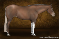 Horse Color:Gray Silver Black Pearl Tobiano