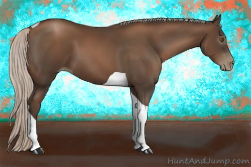 Horse Color:Gray Silver Black Pearl Tobiano 