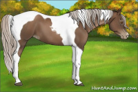 Horse Color:Gray Silver Black Pearl Tobiano