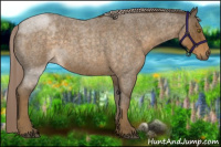 Horse Color:Chocolate Palomino Roan 