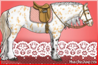Horse Color:Palomino Appaloosa  and Buckskin Appaloosa 