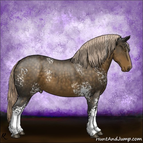 Horse Color:White Spotted Chocolate Palomino 
