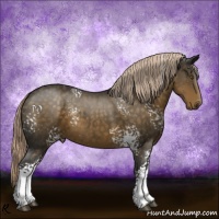 Horse Color:White Spotted Chocolate Palomino