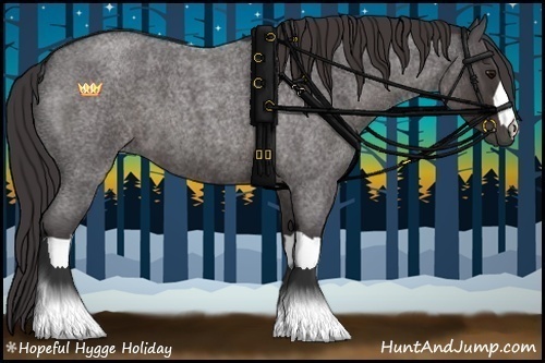 Horse Color:Smoky Blue Roan
