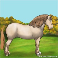 Horse Color:Smoky Blue Roan Pearl 