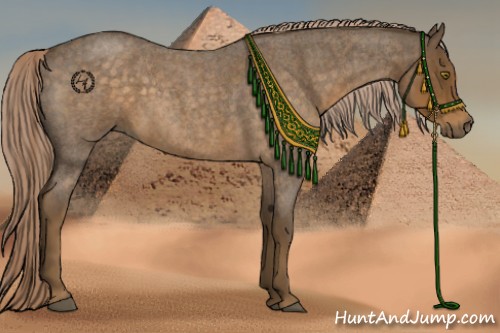 Horse Color:Chocolate Palomino Roan