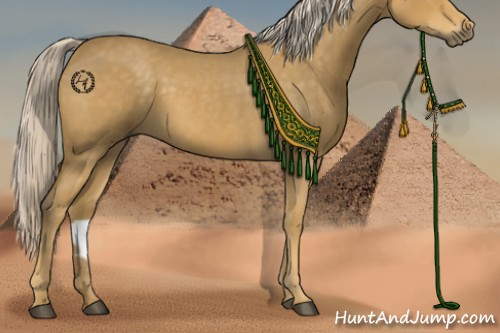 Horse Color:Palomino Roan 