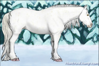 Horse Color:Palomino Leopard  and Palomino Dun Leopard 