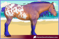 Horse Color:Watercolor Bay Appaloosa 