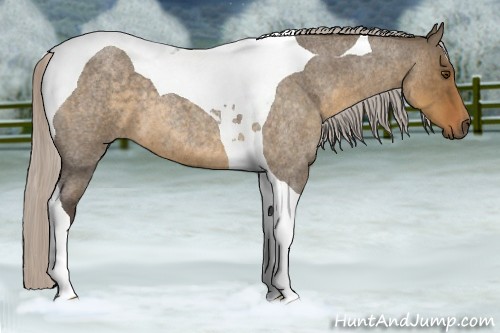 Horse Color:Silver Smoky Grullo Roan Tobiano 