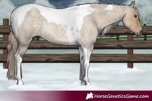 Horse Color:Silver Smoky Grullo Roan Tobiano 