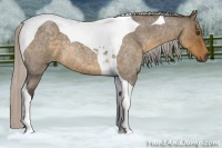 Horse Color:Silver Smoky Grullo Roan Tobiano 