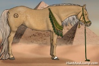Horse Color:Palomino Roan 