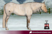 Horse Color:Chocolate Palomino Roan Dun Tobiano 
