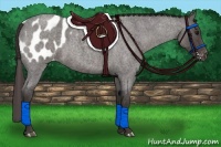 Horse Color:Smoky Blue Roan Blanket 