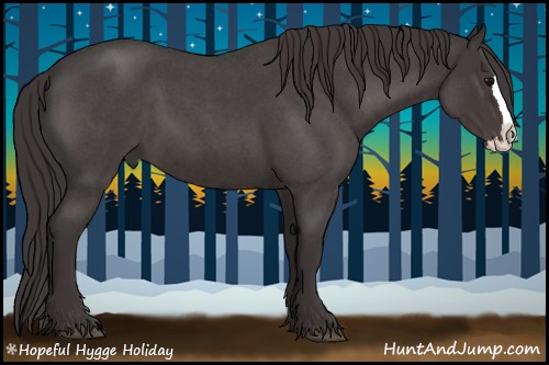 Horse Color:Smoky Blue Roan Splash 