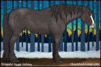 Horse Color:Smoky Blue Roan Splash