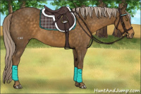 Horse Color:Chocolate Palomino 