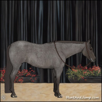 Horse Color:Smoky Blue Roan 