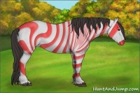 Horse Color:Smoky Blue Roan 