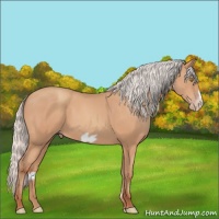 Horse Color:Silver Amber Champagne Frame 