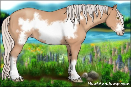 Horse Color:Silver Amber Champagne Frame