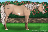 Horse Color:Silver Amber Champagne Frame 