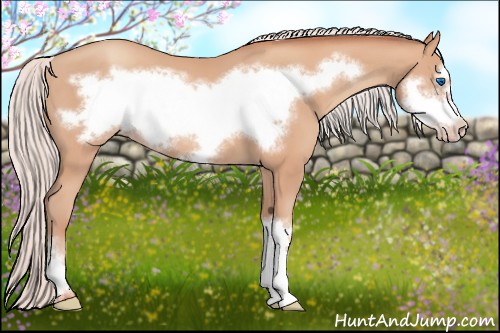 Horse Color:Silver Amber Champagne Frame 
