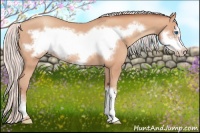Horse Color:Silver Amber Champagne Frame