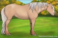 Horse Color:Silver Amber Champagne Frame 