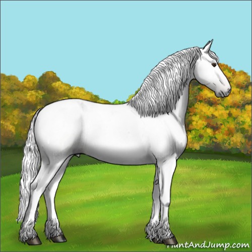 Horse Color:Gray Chestnut 
