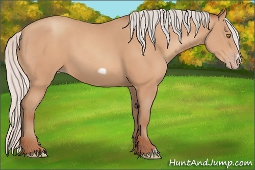 Horse Color:Silver Amber Champagne Frame 