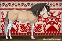 Horse Color:Amber Champagne Splash 