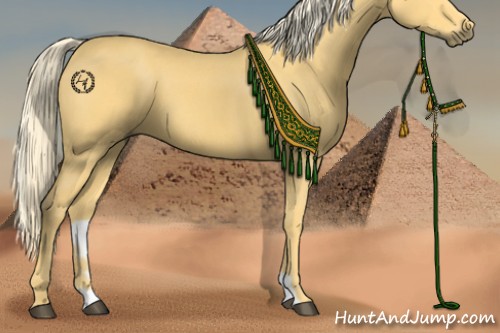 Horse Color:Palomino 